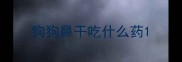 狗狗鼻干吃什么药