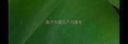 兔子大概几个月磨牙