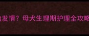 萨摩耶几月龄开始发情母犬生理期护理全攻略附绝育建议