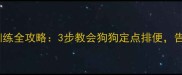 金毛犬定点训练全攻略3步教会狗狗定点排便告别室内污染