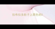 拉布拉多肚子上黑色的