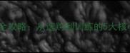 哈士奇雪橇犬饲养全攻略从选购到训练的5大核心要点新手必看