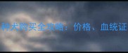 昆明哈士奇纯种犬购买全攻略价格血统证明及防坑指南