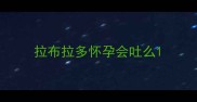 拉布拉多怀孕会吐么