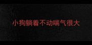 小狗躺着不动喘气很大