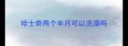 哈士奇两个半月可以洗澡吗