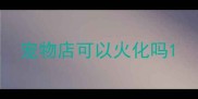 宠物店可以火化吗