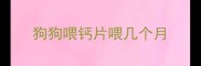 狗狗喂钙片喂几个月