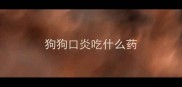 狗狗口炎吃什么药