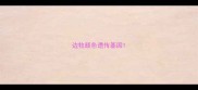 边牧颜色遗传基因