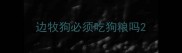 边牧狗必须吃狗粮吗