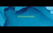 拉布拉多幼犬拉屎干