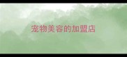 宠物美容的加盟店