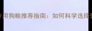 边境牧羊犬幼犬专用狗粮推荐指南如何科学选择营养配比与品牌