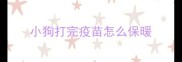 小狗打完疫苗怎么保暖