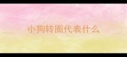 小狗转圈代表什么