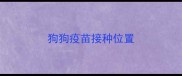 狗狗疫苗接种位置