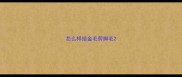 怎么样给金毛剪脚毛
