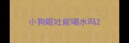 小狗呕吐能喝水吗