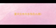 夏天拉布拉多狗怎么喂