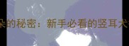 哈士奇竖耳朵的秘密新手必看的竖耳犬护理全攻略