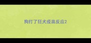 狗打了狂犬疫苗反应