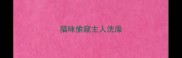 猫咪偷窥主人洗澡
