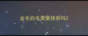 金毛的毛需要修剪吗