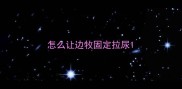 怎么让边牧固定拉尿