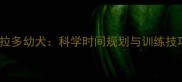 每天15分钟训练拉布拉多幼犬科学时间规划与训练技巧附训练计划表