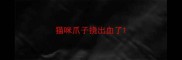猫咪爪子挠出血了