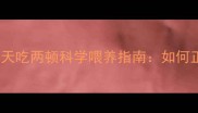 边境牧羊犬7个月大时一天吃两顿科学喂养指南如何正确安排喂食时间与食量