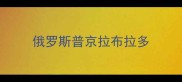 俄罗斯普京拉布拉多