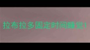 拉布拉多固定时间睡觉