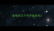 金毛犬几个月开始发毛