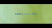 阿拉斯加犬和哈士奇配