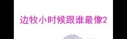 边牧小时候跟谁最像