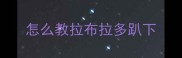 怎么教拉布拉多趴下