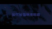 如何给猫咪擦眼睛