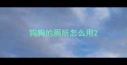 狗狗的厕所怎么用