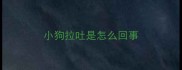 小狗拉吐是怎么回事