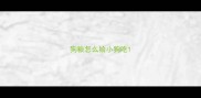 狗粮怎么给小狗吃
