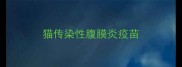 猫传染性腹膜炎疫苗