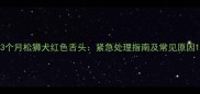 3个月松狮犬红色舌头紧急处理指南及常见原因
