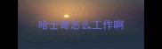 哈士奇怎么工作啊
