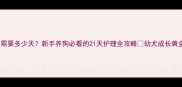 小狗哺乳期需要多少天新手养狗必看的21天护理全攻略幼犬成长黄金期这样护