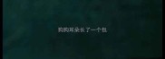 狗狗耳朵长了一个包