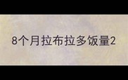 8个月拉布拉多饭量