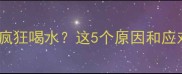 狗狗打完疫苗后疯狂喝水这5个原因和应对方法快收藏
