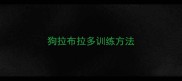 狗拉布拉多训练方法
